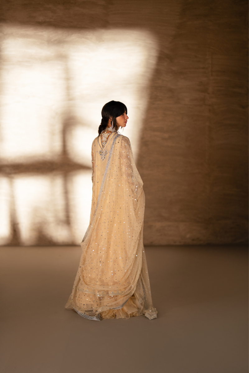 Sana Abbas | Zalea Formals | ZURI - Formal Dress - available at Maria Faisal in UK and USA.