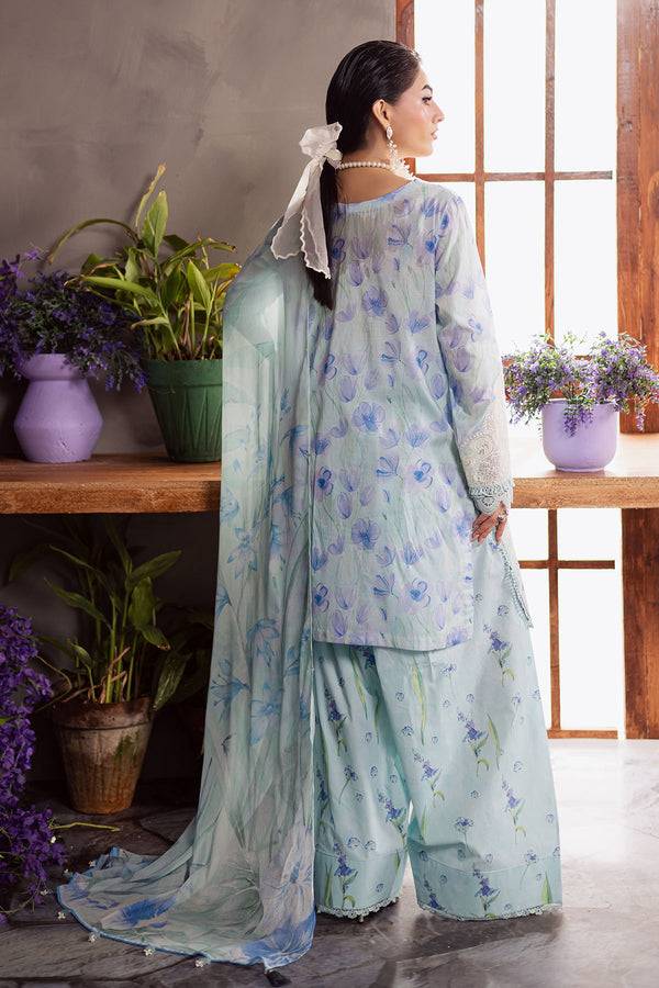 Nureh | Amaya Formals | DD-13 by Maria Faisal - Registered Vendor of : Nureh - type : Ladies Clothes - 100% original wedding dresses
