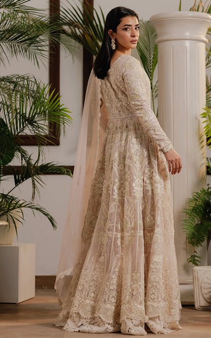 Threads and Motifs | Formal Dresses 25 | Net Embroidered Maxi