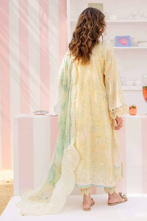 Nureh | Gardenia 25 | NSG-188 - Ladies Clothes - Maria Faisal