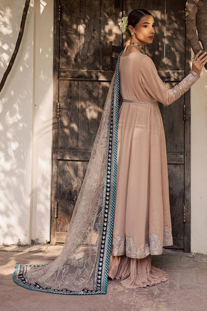 NW-117 – authentic Pakistani dress from the Maya Velvet collection for women in the UK