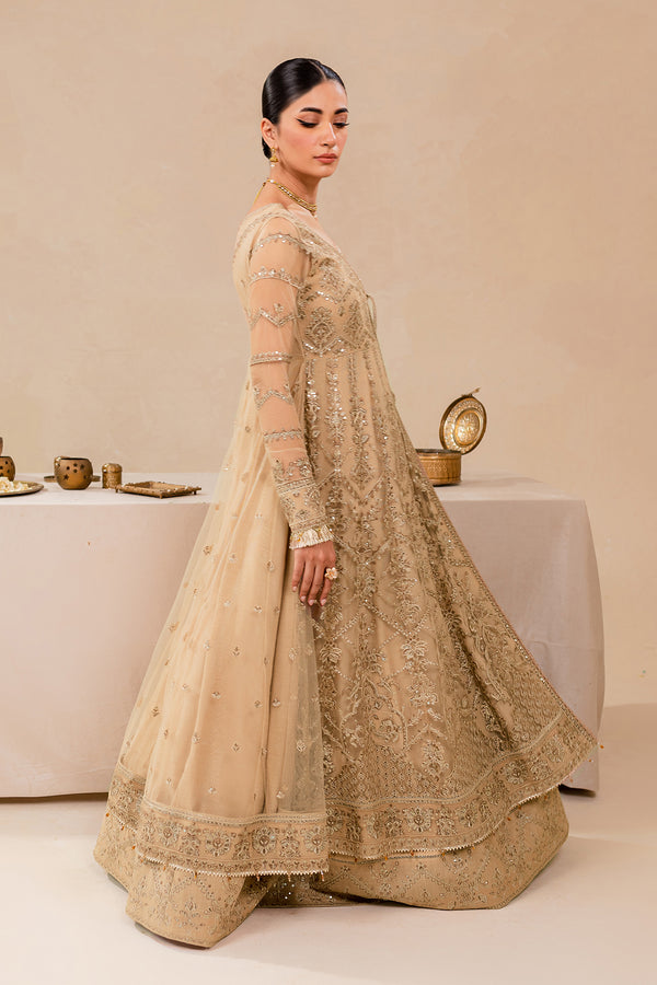 Farasha | Lumiere Formals | DREAMT FLAIR - Designer Dress with Intricate embroidery and embellishments. Shop elegent wedding dress at Maria Faisal.