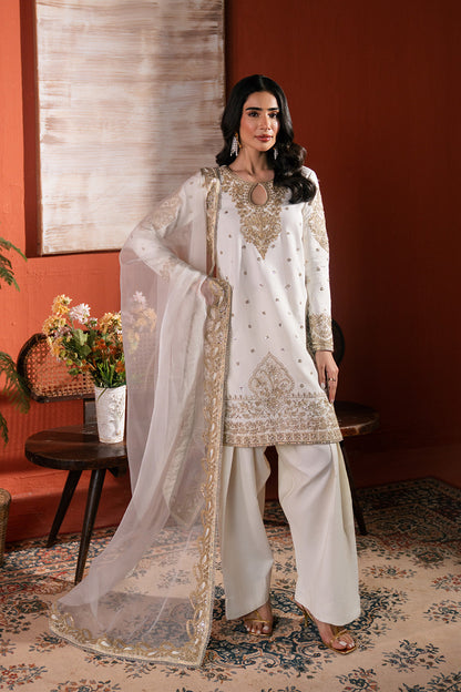 Neeshay | Raw Silk | RTW-RS-02 - Ladies Clothes - Maria Faisal