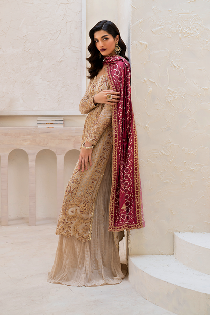 Iznik | Chinnon Chiffon | CC-44 Embroidered Chiffon - Ladies Clothes - Maria Faisal