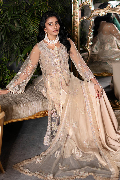 Saad Shaikh | Flurie Vol 3 | Clara