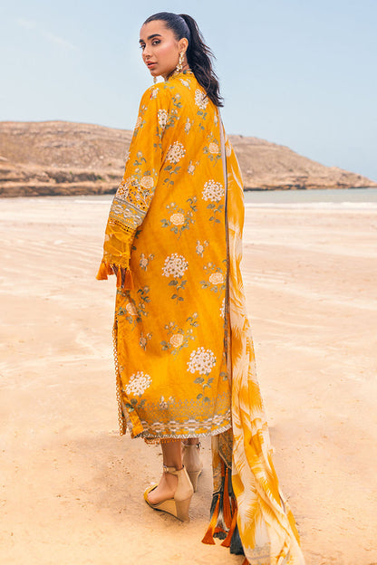 Nureh | Gardenia 25 | NSG-106 - Ladies Clothes - Maria Faisal