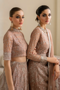 Iznik | Chinnon Chiffon | CC-43 Embroidered Net - Ladies Clothes - Maria Faisal