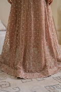 Iznik | Chinnon Chiffon | CC-43 Embroidered Net - Ladies Clothes - Maria Faisal