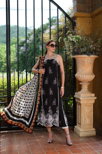 Noor by Saadia Asad | Eid Luxe Printkari 24 | D6 - Maria Faisal