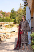 Noor by Saadia Asad | Luxe Chikankari 25 | D2-B by Maria Faisal - Registered Vendor of : Noor by Saadia Asad - type : Ladies Clothes - 100% original wedding dresses