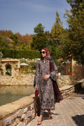 Noor by Saadia Asad | Luxe Chikankari 25 | D2-B by Maria Faisal - Registered Vendor of : Noor by Saadia Asad - type : Ladies Clothes - 100% original wedding dresses