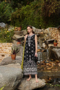 Noor by Saadia Asad | Luxe Chikankari 25 | D3-B by Maria Faisal - Registered Vendor of : Noor by Saadia Asad - type : Ladies Clothes - 100% original wedding dresses