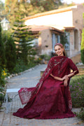 Noor by Saadia Asad | Luxe Chikankari 25 | D6-A by Maria Faisal - Registered Vendor of : Noor by Saadia Asad - type : Ladies Clothes - 100% original wedding dresses