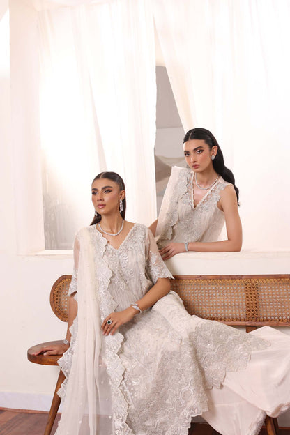 Noor by Saadia Asad | Noor Chiffon De Luxe | D5 - Wedding Dress - Maria Faisal