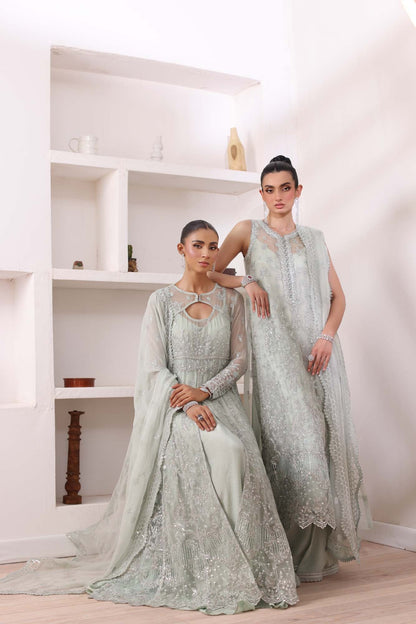 Noor by Saadia Asad | Noor Chiffon De Luxe | D8 - Wedding Dress - Maria Faisal