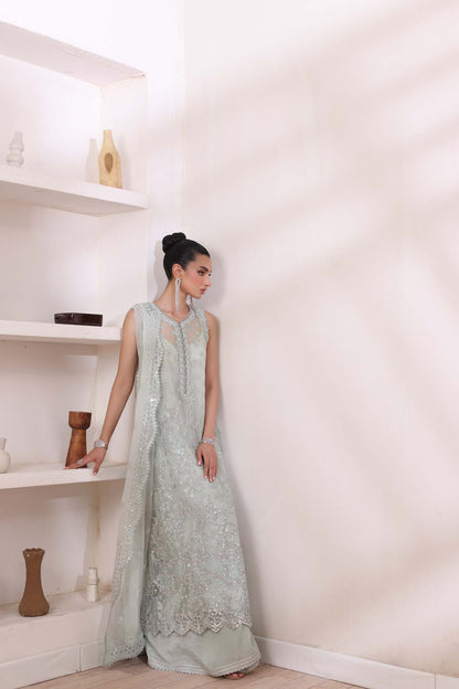 Noor by Saadia Asad | Noor Chiffon De Luxe | D8 - Wedding Dress - Maria Faisal