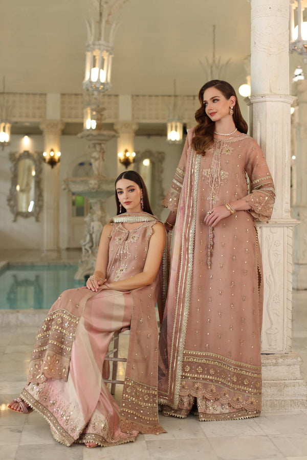 Noor by Saadia Asad | Festive 25 | D4 - Tea Pink - Ladies Clothes - Maria Faisal