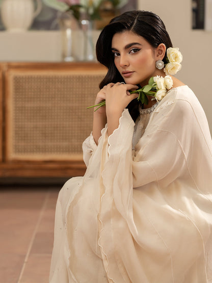 Ain | Abre Zareen Formals | ABR-10 - Formal Dress - available at Maria Faisal in UK and USA.