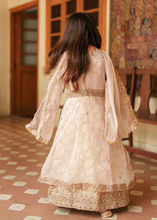 3 Piece Embroidered Chiffon Suit - Kids Clothing - available at Maria Faisal in UK and USA.