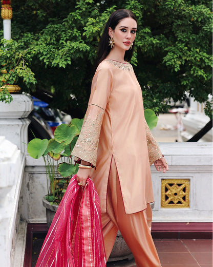 Ain | Prestige Festive Edit | AN-140 D - Ladies Clothes - Maria Faisal