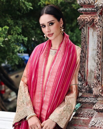 Ain | Prestige Festive Edit | AN-140 D - Ladies Clothes - Maria Faisal