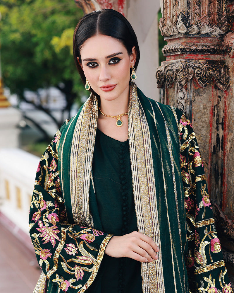 Ain | Prestige Festive Edit | AN-143 B - Ladies Clothes - Maria Faisal