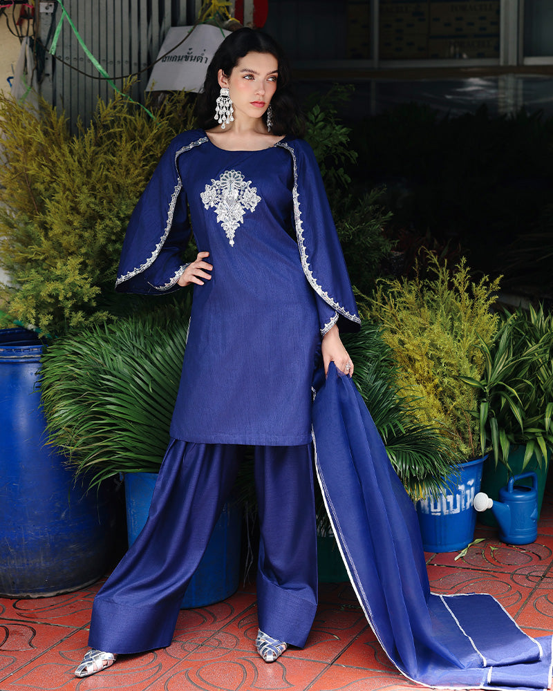 Ain | Prestige Festive Edit | AN-141 E - Ladies Clothes - Maria Faisal