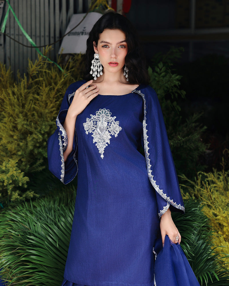 Ain | Prestige Festive Edit | AN-141 E - Ladies Clothes - Maria Faisal
