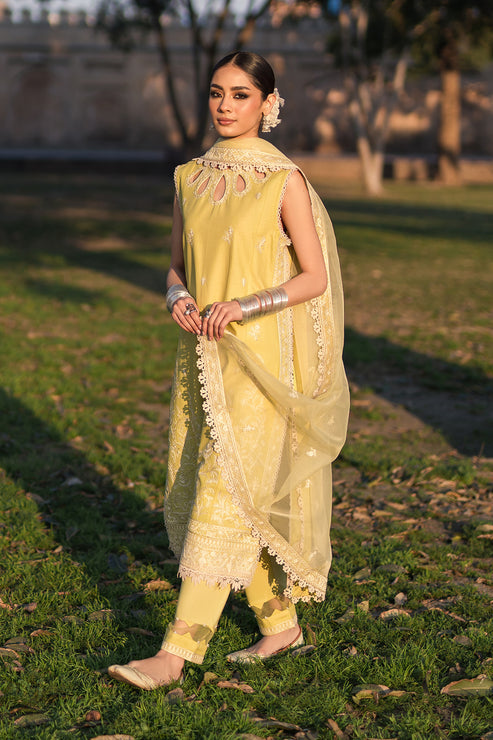 Zarposh | Shalamar Lawn | Heer - Ladies Clothes - Maria Faisal