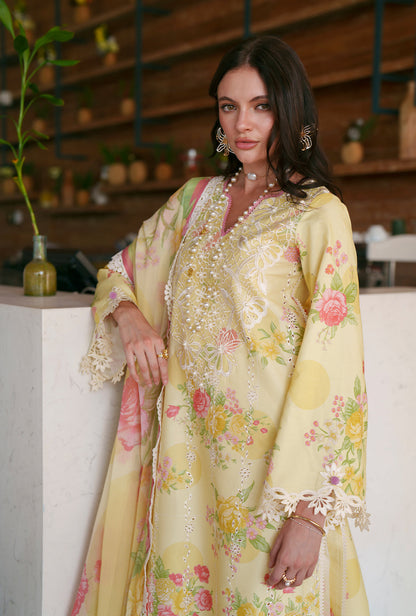 AJR Couture | Printed Chikankari 26 | Feya - Luxury Dress - available at Maria Faisal in UK and USA.