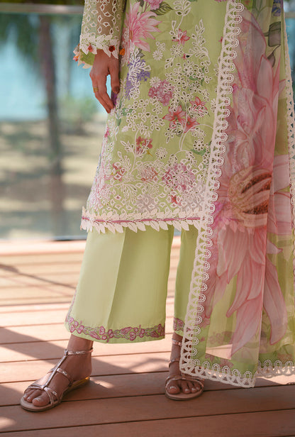 AJR Couture | Printed Chikankari 26 | Riwa - Luxury Dress - available at Maria Faisal in UK and USA.
