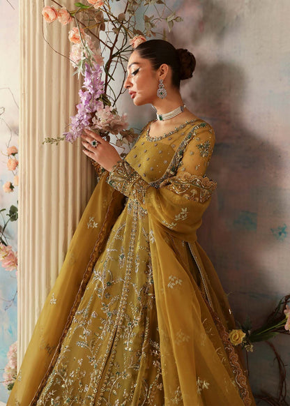 Akbar Aslam | Deewani Wedding Formals | Sierra - Ladies Clothes 