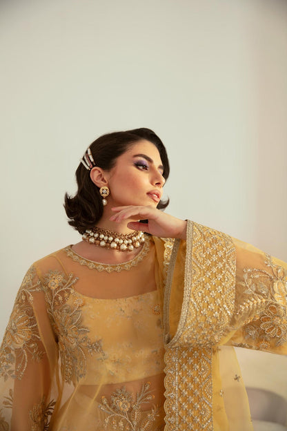 Akbar Aslam | Velora Formal Pret | Fawn - Ladies Clothes 