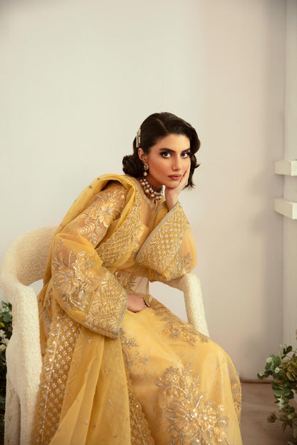 Akbar Aslam | Velora Formal Pret | Fawn - Ladies Clothes 
