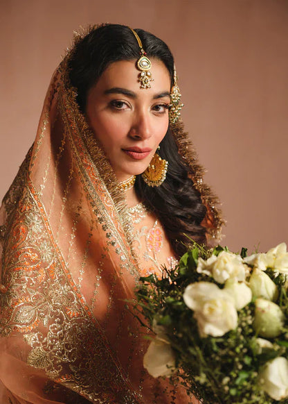 Ali Xeeshan | Prime Time Formals | Rubab - Pakistani Dress - Maria Faisal