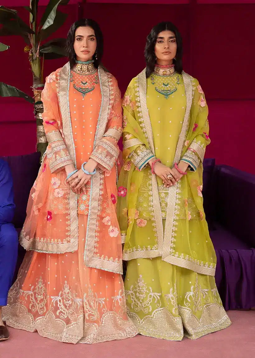 Ali Xesshan | Bhaag Lagay Rain | ANGORI BAGH  LP-010