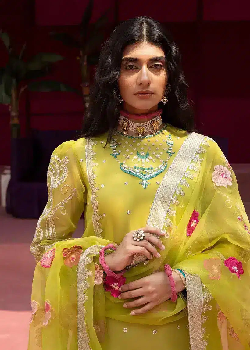 Ali Xesshan | Bhaag Lagay Rain | ANGORI BAGH  LP-010