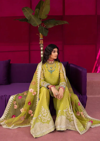 Ali Xesshan | Bhaag Lagay Rain | ANGORI BAGH  LP-010