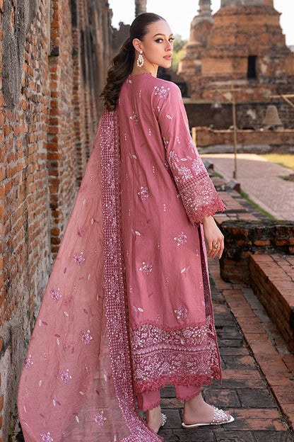 Saffron | Solace Winter Edit | Froza - Ladies Clothes 