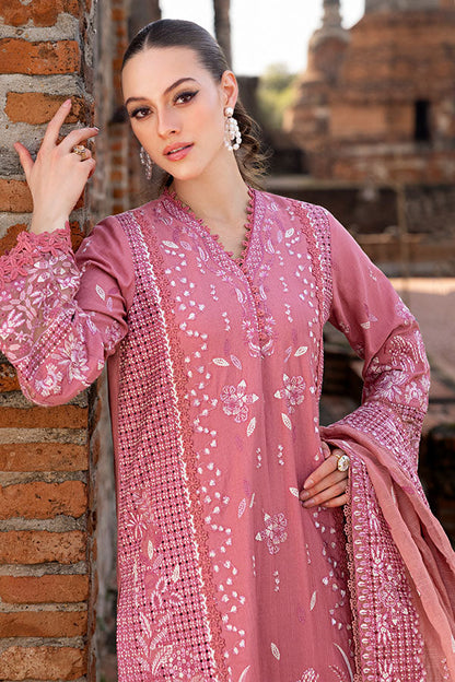 Saffron | Solace Winter Edit | Froza - Ladies Clothes 