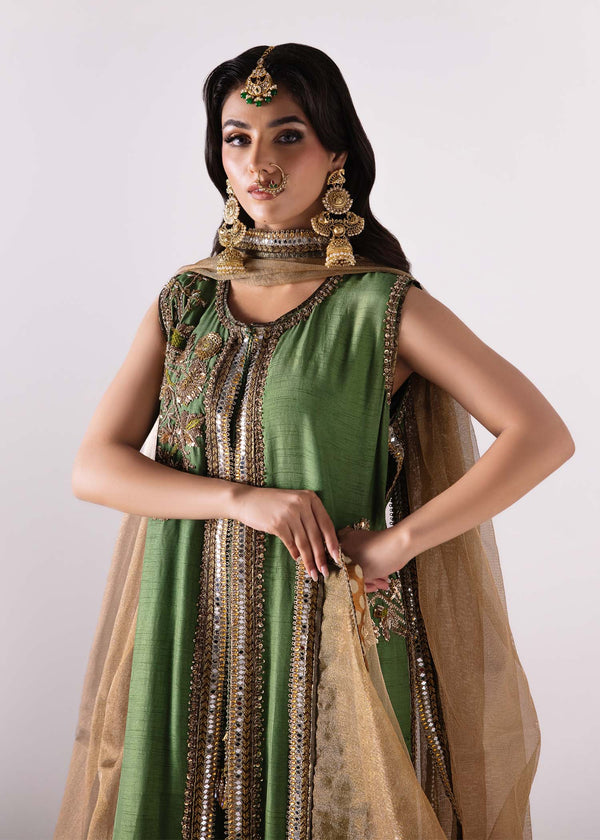 Laj | Elaheh Formals | FREESIA - Designer Dress with Intricate embroidery and embellishments. Shop elegent wedding dress at Maria Faisal.