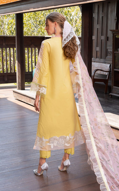 Asifa and Nabeel | Rosemary Ruffles 24 | Essence - Pakistani Dress - Maria Faisal