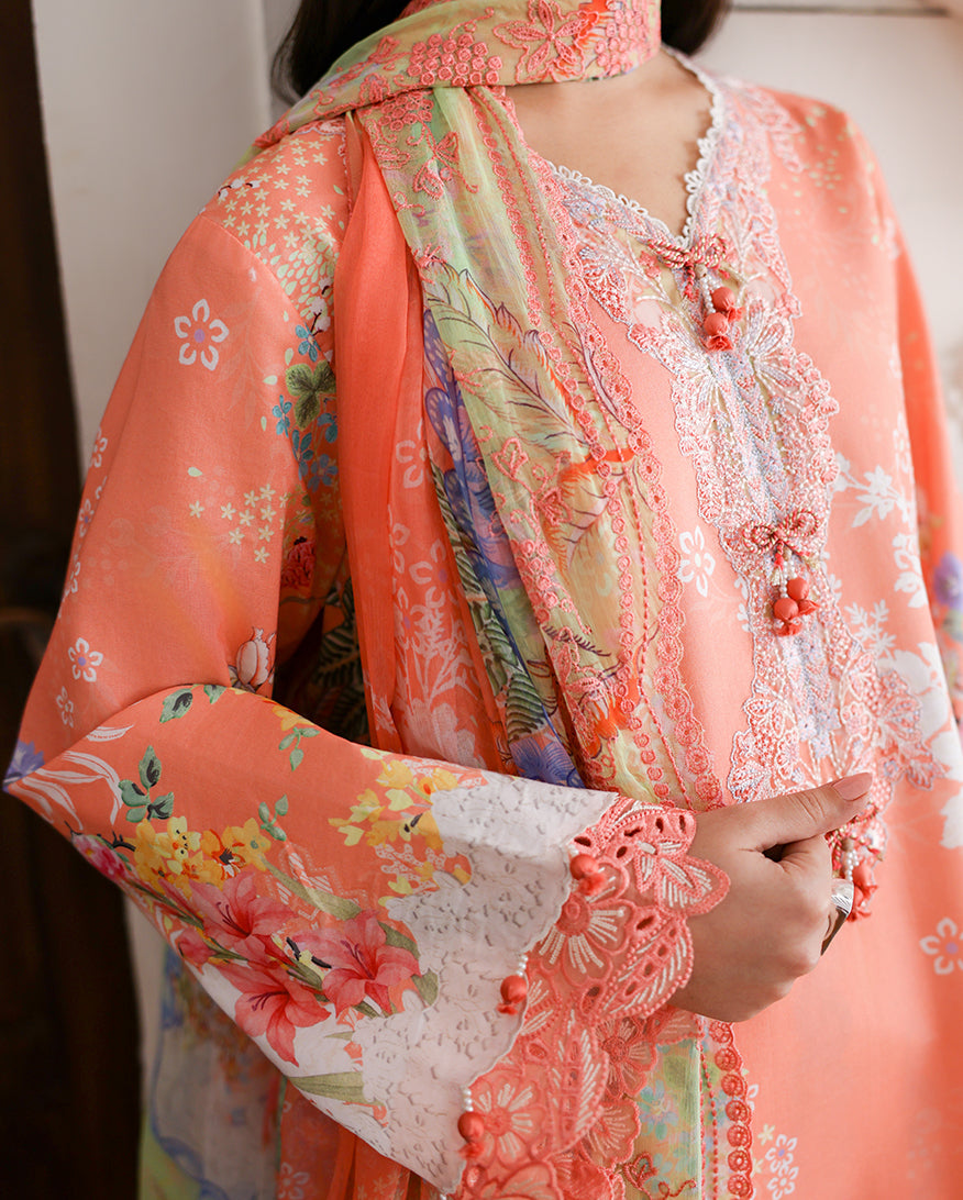 Roheenaz | Sunlit Tales Printed Embroidered Edit | Blush tale - Luxury Dress - available at Maria Faisal in UK and USA.