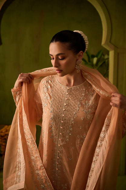 Dhanak | Festive Formals | SS24DU-3199 L-PINK 3Pcs - Designer Dress with Intricate embroidery and embellishments. Shop elegent wedding dress at Maria Faisal.