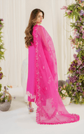 Asifa and Nabeel | Pretty in Pink Limited Edition | Carnation (PP-2) - Waniyas