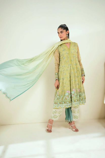 Dhanak | Signature Pret | SS25DA-2729 L-GREEN by Maria Faisal - Registered Vendor of : Dhanak - type : Ladies Clothes - 100% original wedding dresses