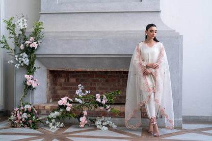 Dhanak | SS 25 Luxury Pret | SS25DL-0317 by Maria Faisal - Registered Vendor of : Dhanak - type : Ladies Clothes - 100% original wedding dresses