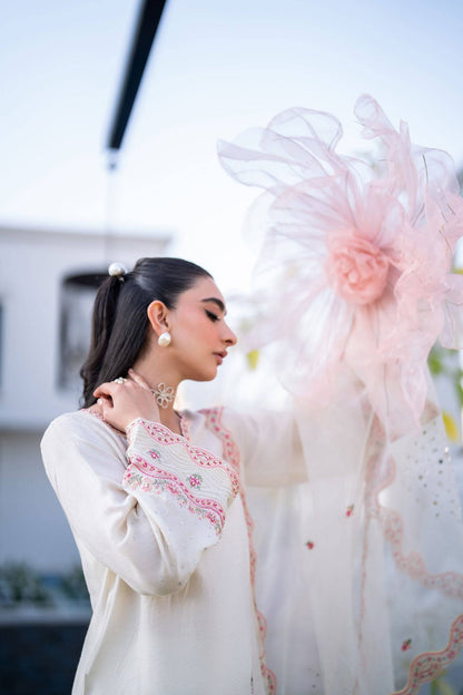 Dhanak | SS 25 Luxury Pret | SS25DL-0317 by Maria Faisal - Registered Vendor of : Dhanak - type : Ladies Clothes - 100% original wedding dresses