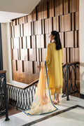Dhanak | SS 25 Luxury Pret | SS25DL-0316 by Maria Faisal - Registered Vendor of : Dhanak - type : Ladies Clothes - 100% original wedding dresses