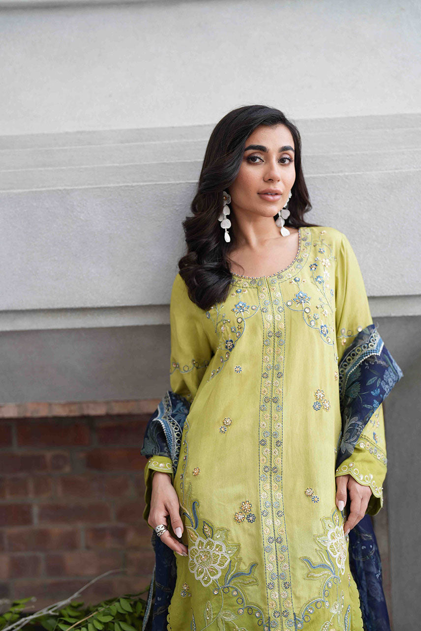 Dhanak | SS 25 Luxury Pret | SS25DL-0318 - Ladies Clothes - Maria Faisal